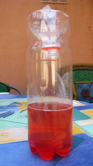Ombygget sodavandsflaske, der fungerer som hvepsefanger Billede af ombygget 1½ liters flaske